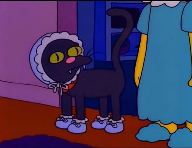 kedi