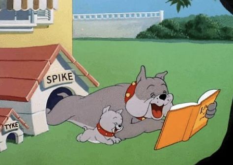 köpek