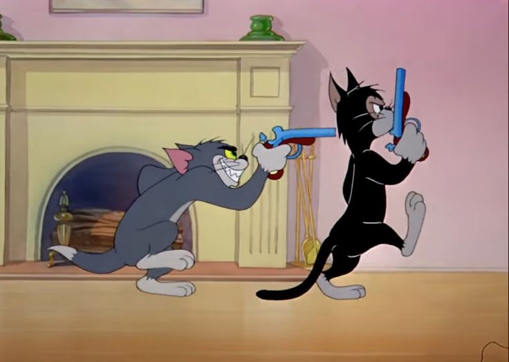 siyah kedi