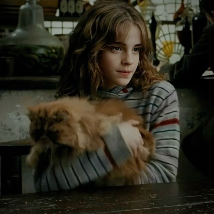Hermione ve kedisi